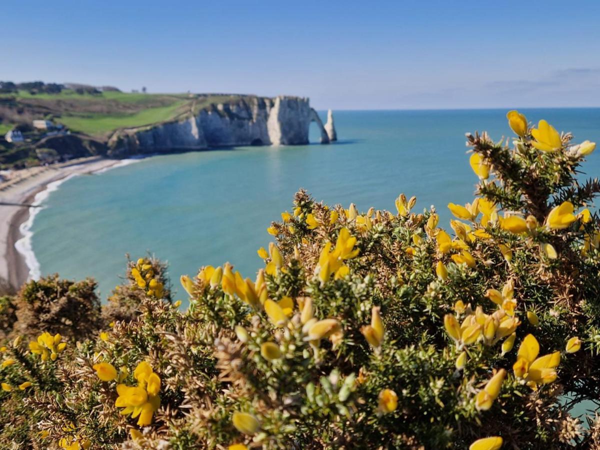 La Flore Marine Saint-Jouin-Bruneval Exteriör bild