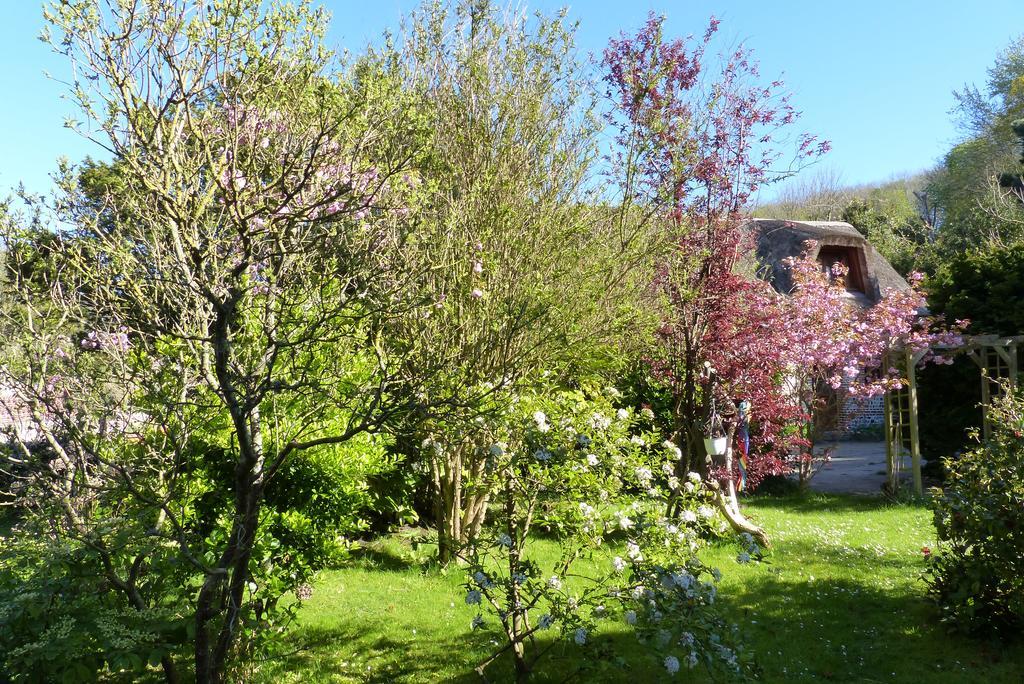 La Flore Marine Saint-Jouin-Bruneval Exteriör bild
